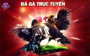 Giao diện và trải nghiệm người dùng