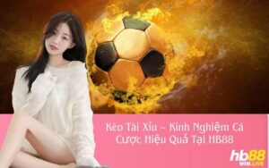 Kèo Tài Xỉu – Kinh Nghiệm Cá Cược Hiệu Quả Tại HB88