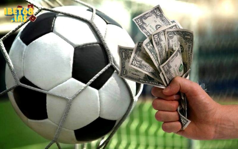 Thông Tin Liên Hệ