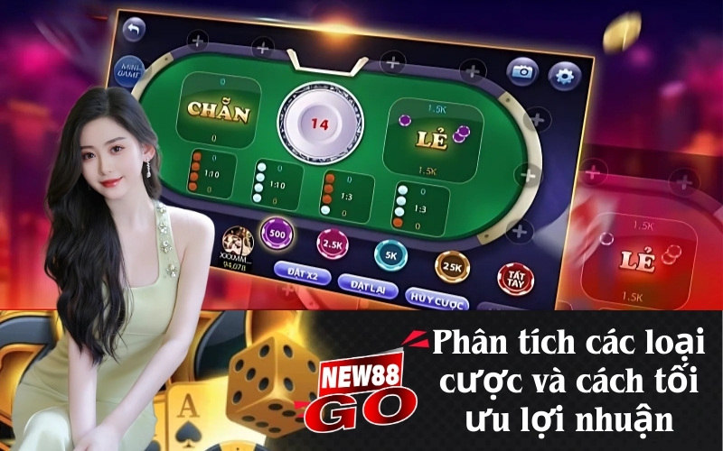 Phân tích các loại cược và cách tối ưu lợi nhuận