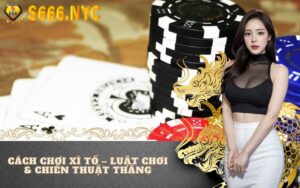 Cách chơi Xì Tố – Luật chơi & chiến thuật thắng