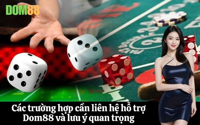 Các trường hợp cần liên hệ hỗ trợ Dom88 và lưu ý quan trọng