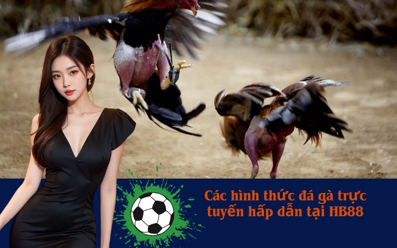 Các hình thức đá gà trực tuyến hấp dẫn tại HB88