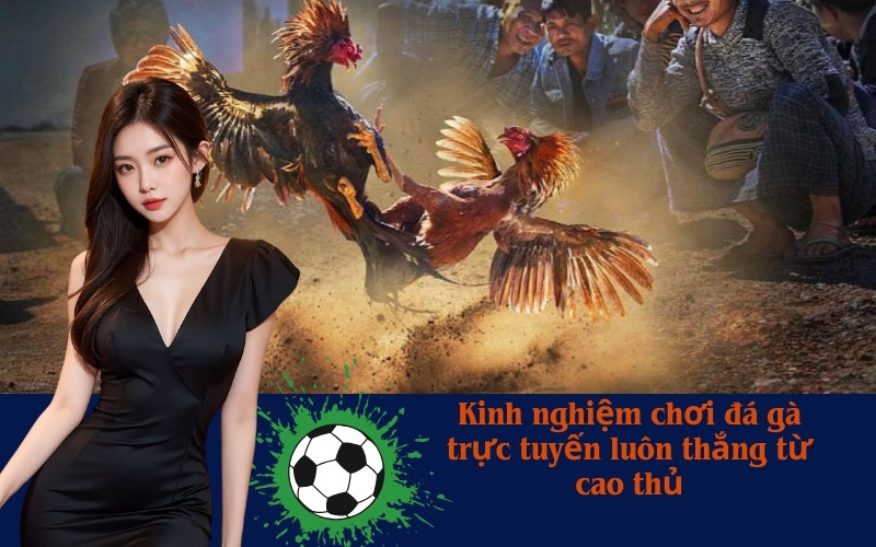 Kinh nghiệm chơi đá gà trực tuyến luôn thắng từ cao thủ