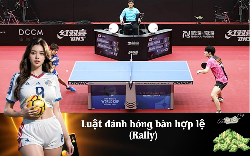 Luật đánh bóng bàn hợp lệ (Rally)